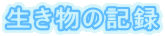  ログ 